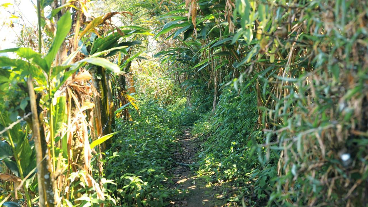 Shola Crown Resort - Munnar Chinnakanal Luaran gambar